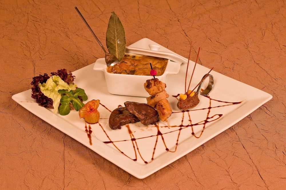 Logis Hotels Restaurant Le Dauphin Salbris Exteriér fotografie