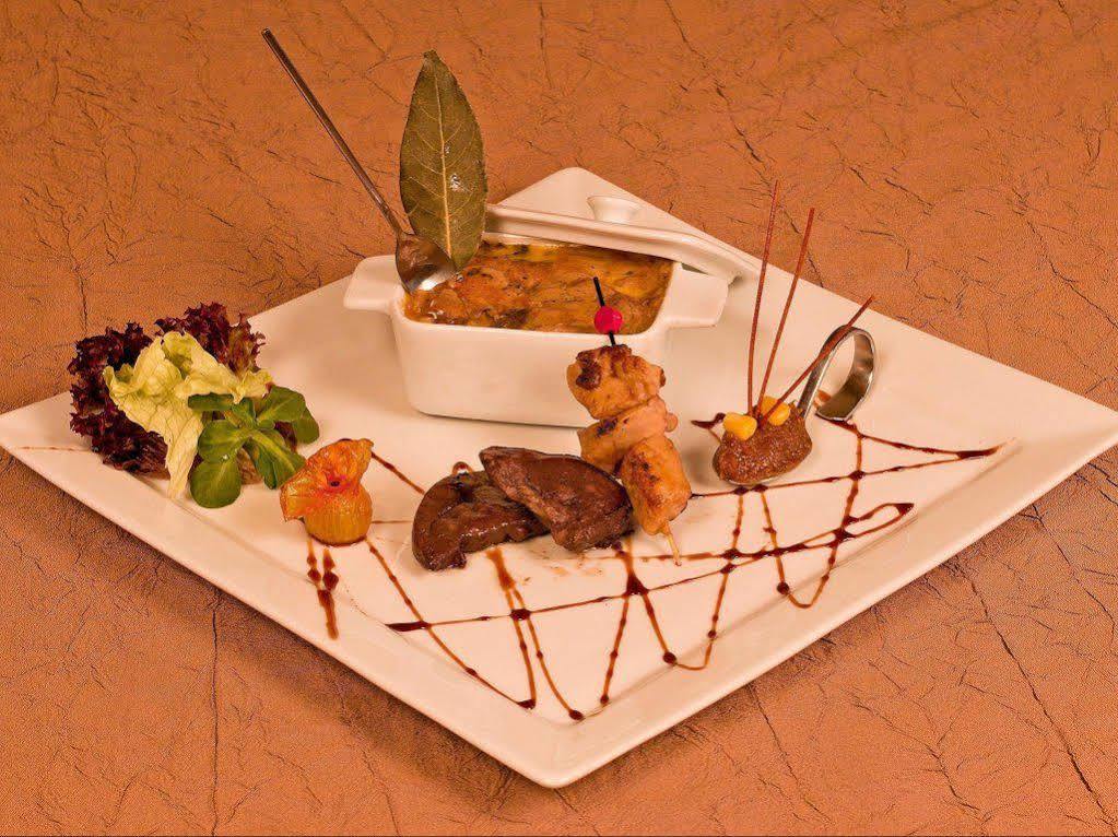 Logis Hotels Restaurant Le Dauphin Salbris Exteriér fotografie